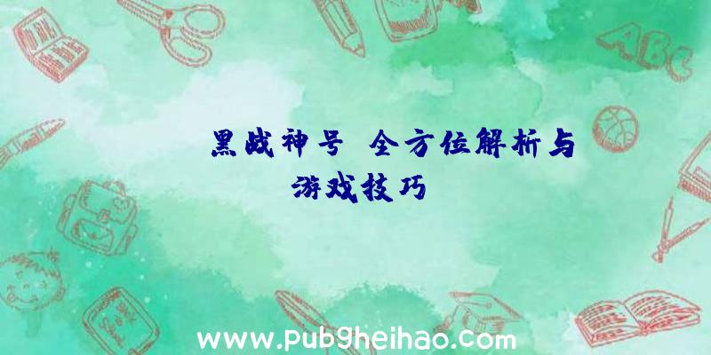 PUBG黑战神号：全方位解析与游戏技巧