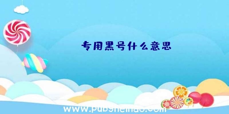 pubg专用黑号什么意思