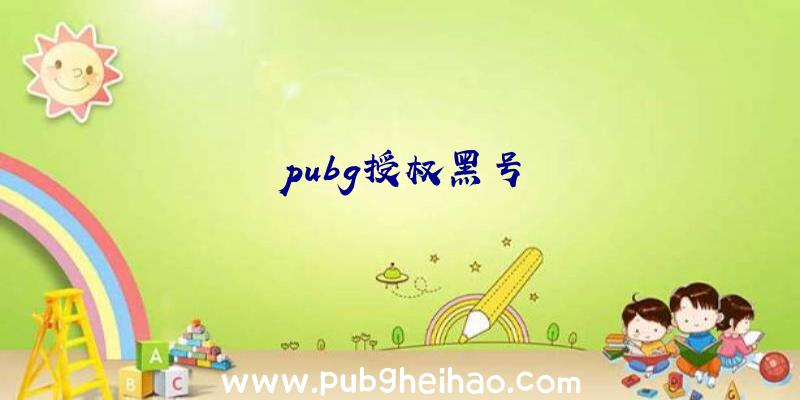 pubg授权黑号