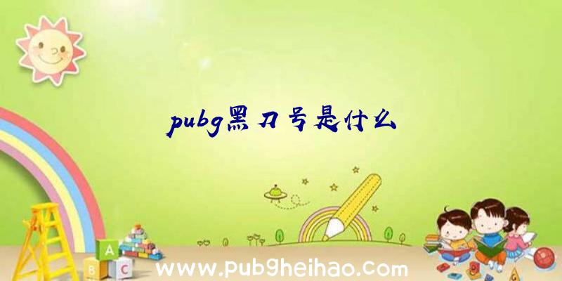 pubg黑刀号是什么