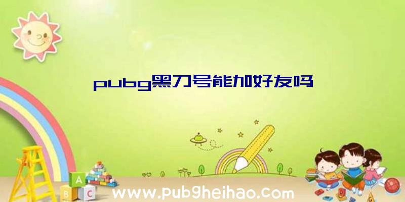 pubg黑刀号能加好友吗