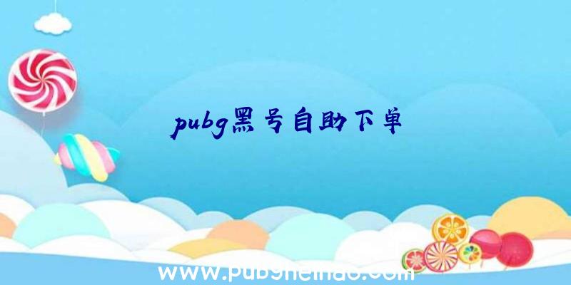 pubg黑号自助下单