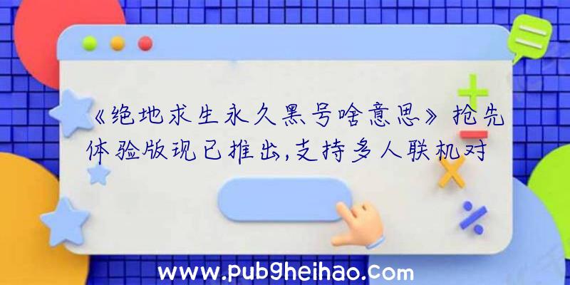 《绝地求生永久黑号啥意思》抢先体验版现已推出,支持多人联机对战