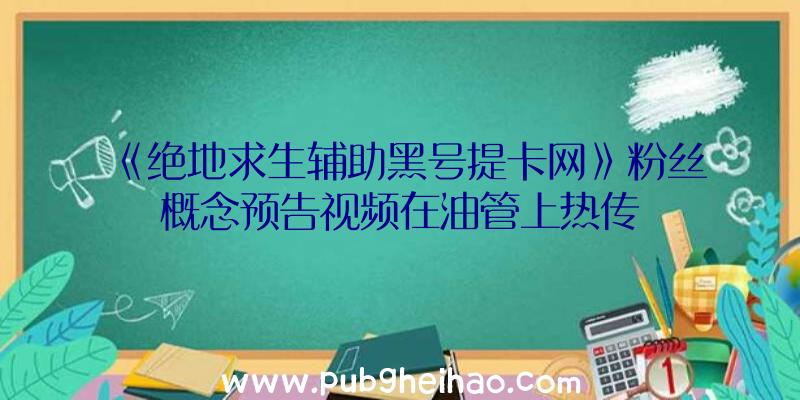 《绝地求生辅助黑号提卡网》粉丝概念预告视频在油管上热传