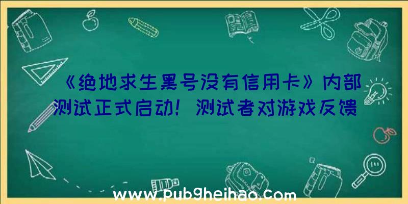 《绝地求生黑号没有信用卡》内部测试正式启动！测试者对游戏反馈积极！