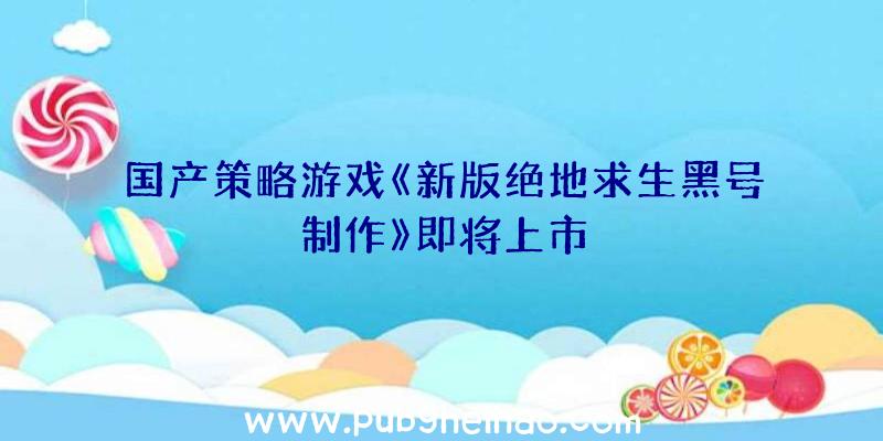 国产策略游戏《新版绝地求生黑号制作》即将上市