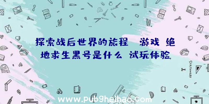 探索战后世界的旅程——游戏《绝地求生黑号是什么》试玩体验