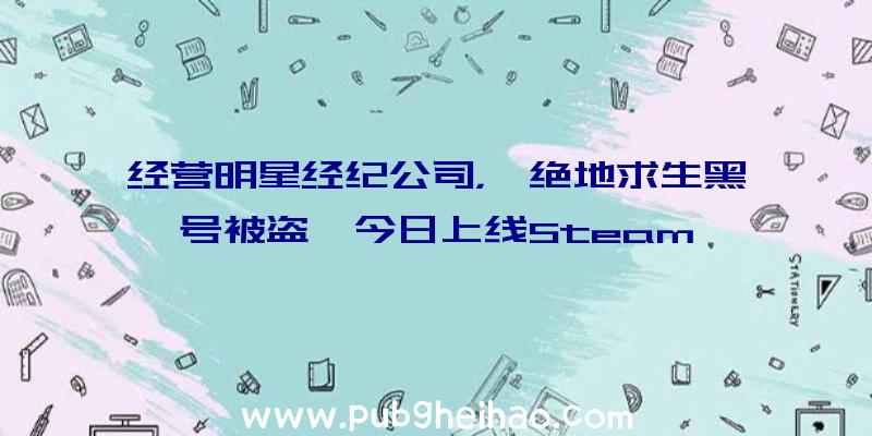 经营明星经纪公司，《绝地求生黑号被盗》今日上线Steam