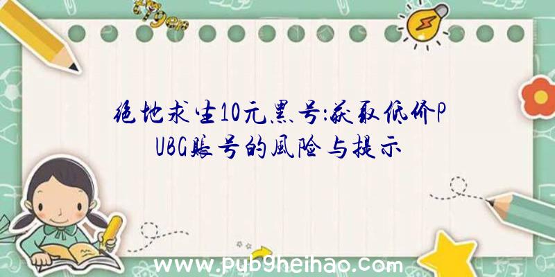 绝地求生10元黑号：获取低价PUBG账号的风险与提示