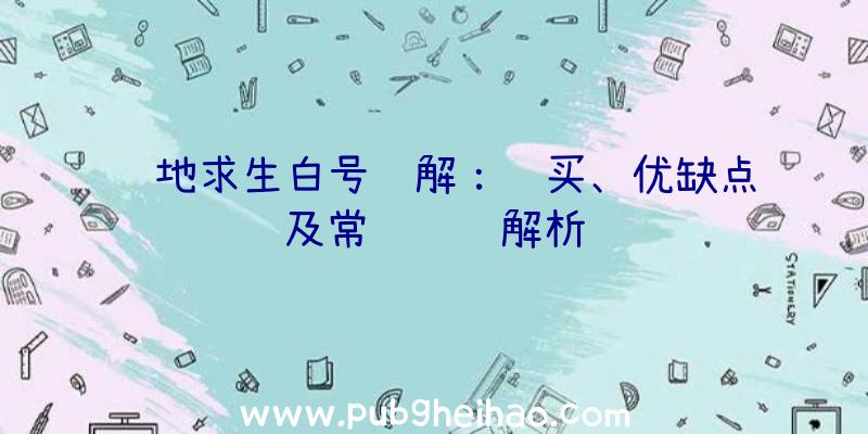 绝地求生白号详解：购买、优缺点及常见问题解析