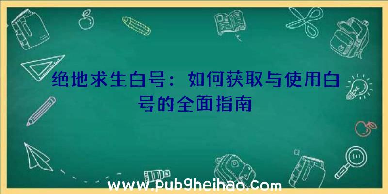 绝地求生白号：如何获取与使用白号的全面指南