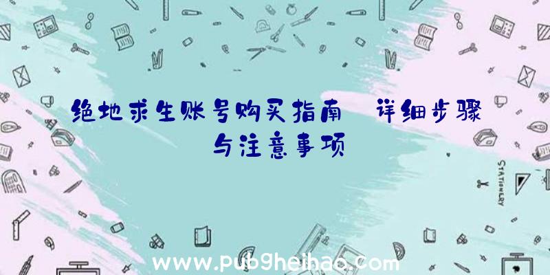 绝地求生账号购买指南:详细步骤与注意事项