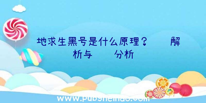 绝地求生黑号是什么原理？详细解析与风险分析