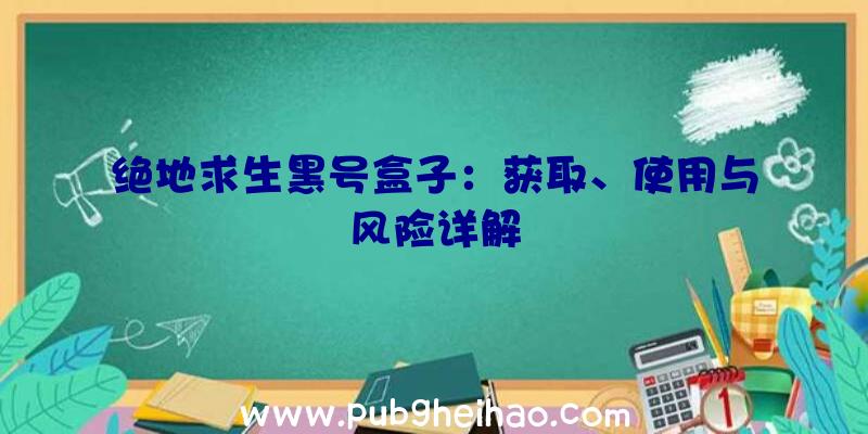 绝地求生黑号盒子：获取、使用与风险详解