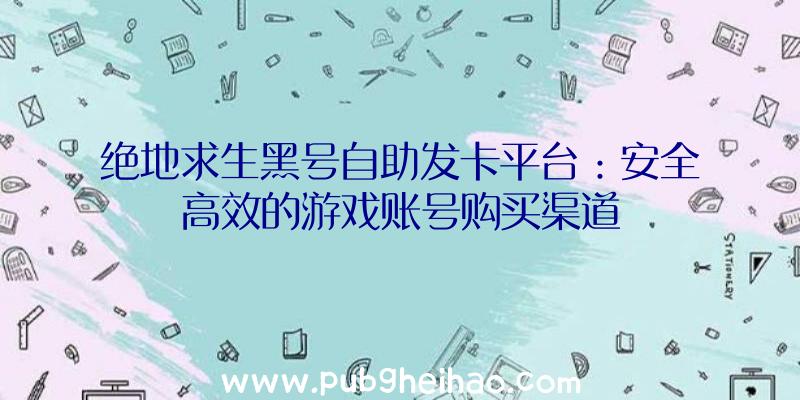 绝地求生黑号自助发卡平台：安全高效的游戏账号购买渠道