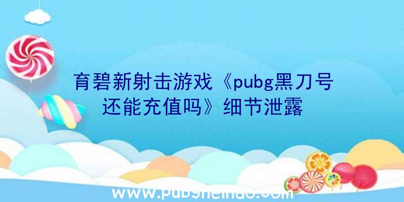 育碧新射击游戏《pubg黑刀号还能充值吗》细节泄露