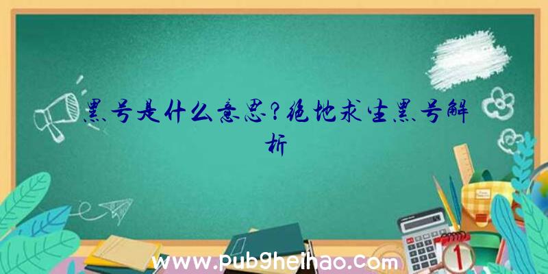 黑号是什么意思？绝地求生黑号解析